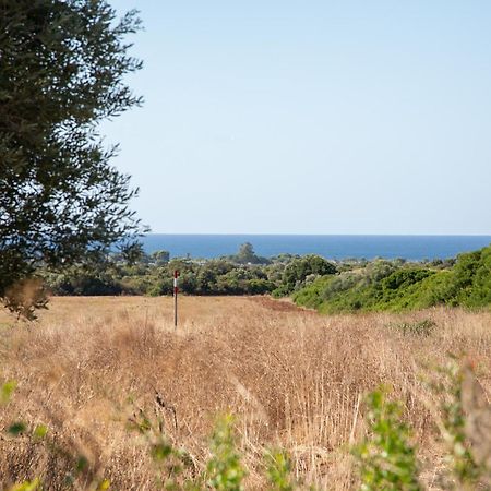 Masseria Scaledda Мандурія Екстер'єр фото